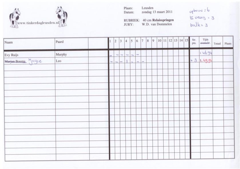 relaisspringen 40 cm